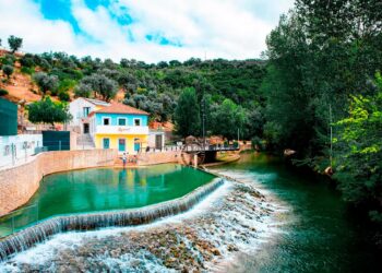 Reunimos cinco praias fluviais de Tomar e arredores que são perfeitas para se estar em dias de calor… Bons mergulhos!
