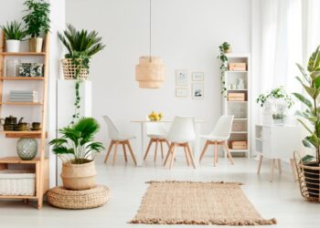 Confira 10 plantas para decorar a casa que são fáceis de cuidar! Transforme a sua casa num oásis verde com essas plantas de baixa manutenção!