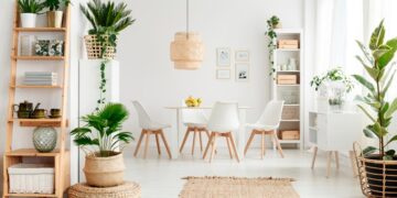 Confira 10 plantas para decorar a casa que são fáceis de cuidar! Transforme a sua casa num oásis verde com essas plantas de baixa manutenção!