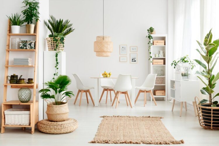 Confira 10 plantas para decorar a casa que são fáceis de cuidar! Transforme a sua casa num oásis verde com essas plantas de baixa manutenção!