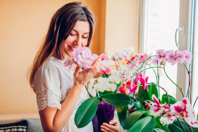 10 plantas para decorar a casa muito fáceis de cuidar Confira 10 plantas para decorar a casa que são fáceis de cuidar! Transforme a sua casa num oásis verde com essas plantas de baixa manutenção!