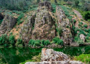 Nem todas as livrarias servem para apresentar livros. A Livraria do Mondego é um local que vale bem a pena visitar!