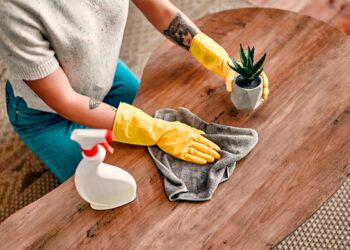 Dicas práticas para limpar o pó de móveis, superfícies e objetos, deixando a sua casa brilhante e livre de alergénios.