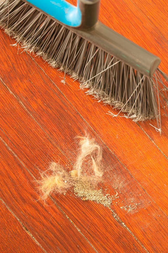 Aprenda a limpar pelos dos cães de várias superfícies Ter cão não precisa de ser sinónimo de uma casa cheia de pelos! Aprenda a limpar pelos dos cães com as nossas dicas.