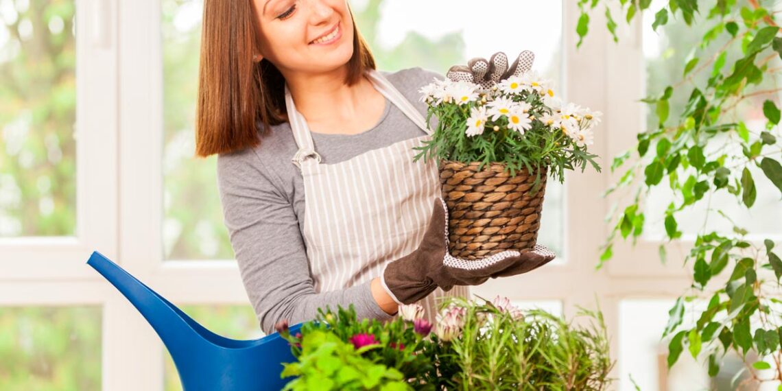 Aprenda a tratar das plantas como elas merecem
