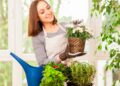 Aprenda a tratar das plantas como elas merecem Aprenda a tratar das plantas como elas merecem