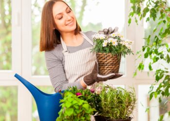 Confira 12 dicas comprovadas para dar o melhor tratamento às suas plantas. Aprenda a tratar das plantas como elas merecem.