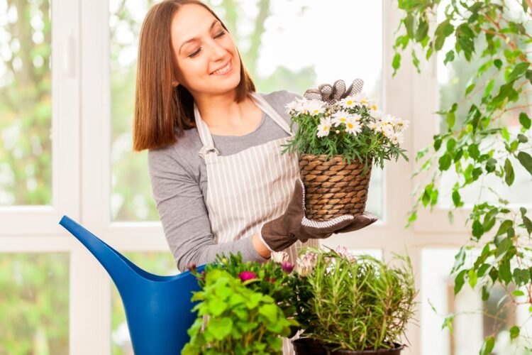 Confira 12 dicas comprovadas para dar o melhor tratamento às suas plantas. Aprenda a tratar das plantas como elas merecem.