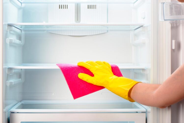 Confira o guia completo de limpeza do frigorífico e mantenha-o limpo e higienizado! Aprenda a limpar o seu frigorífico e a fazer a sua manutenção!