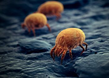 Realize uma limpeza completa do colchão com nosso passo a passo! Siga nossas dicas e desfrute de um ambiente higiénico e saudável!