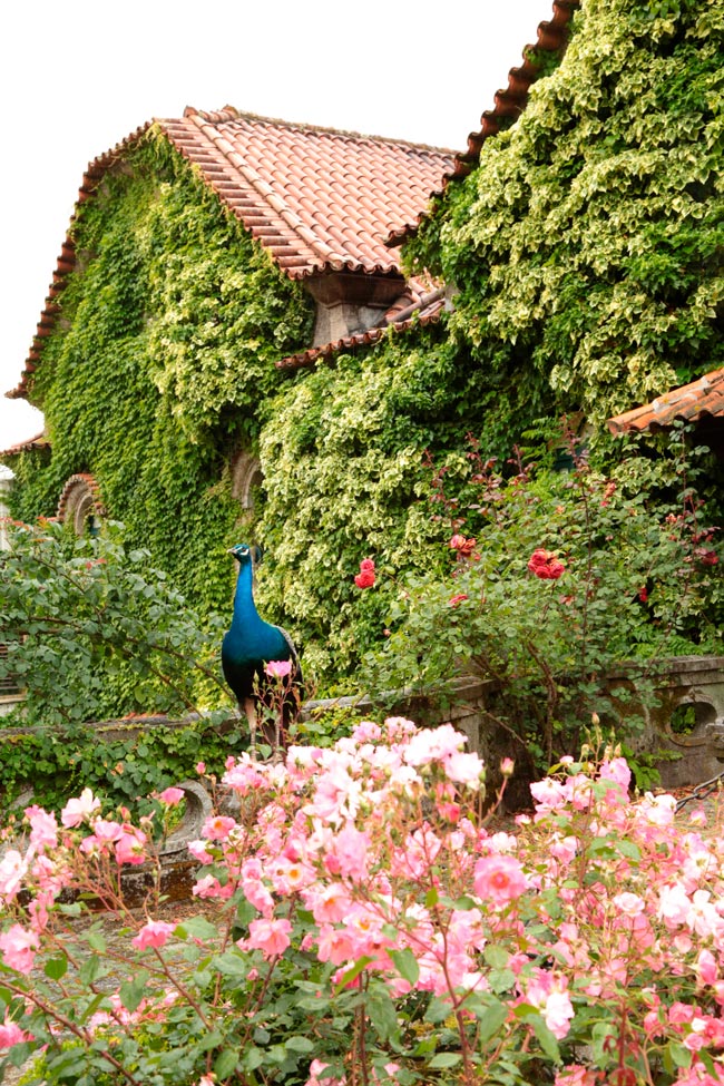 Quinta da Aveleda, um jardim mágico em Penafiel Visite a Quinta da Aveleda e passeie por um dos mais belos jardins românticos de Portugal.
