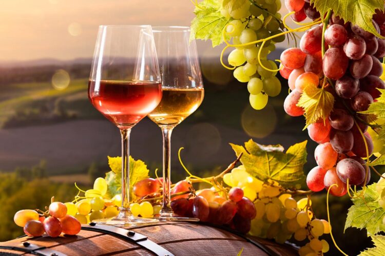 Carnes e doces, peixe ou sobremesas. Saiba como encontrar o melhor vinho para harmonizar com os seus pratos prediletos.