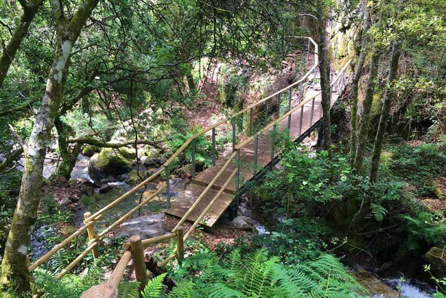 9 dos mais bonitos passadiços do Norte de Portugal Passe um dia memorável nos mais bonitos passadiços do Norte de Portugal e apaixone-se pela beleza única que só eles têm!