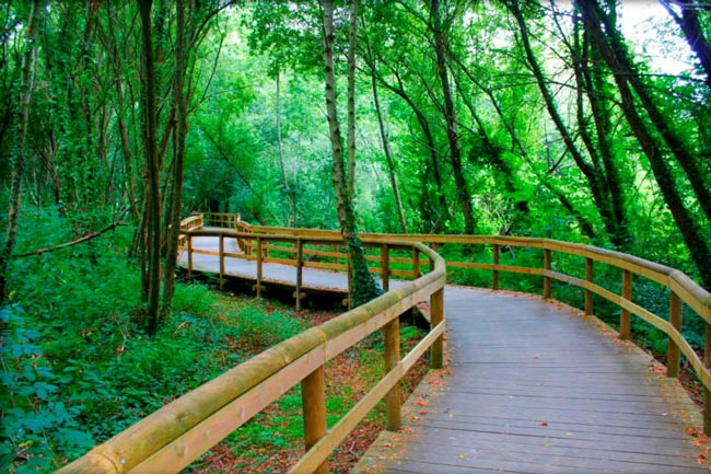 12 melhores passadiços a não perder em Portugal Passe um dia memorável num destes passadiços a não perder em Portugal! Respire ar puro e desfrute o melhor da natureza.