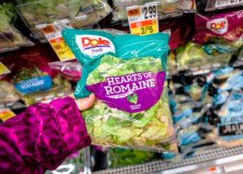 Saladas embaladas prontas a consumir pode parecer uma ideia agradável. É prático, fácil de usar, basta temperar. No entanto, não se deixe iludir.