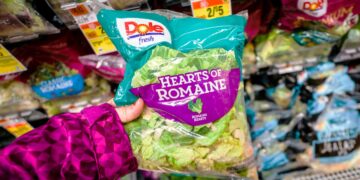 Saladas embaladas prontas a consumir pode parecer uma ideia agradável. É prático, fácil de usar, basta temperar. No entanto, não se deixe iludir.