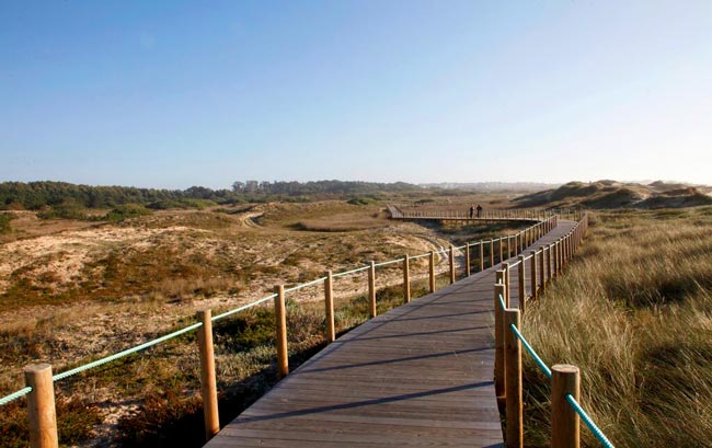9 dos mais bonitos passadiços do Norte de Portugal Passe um dia memorável nos mais bonitos passadiços do Norte de Portugal e apaixone-se pela beleza única que só eles têm!