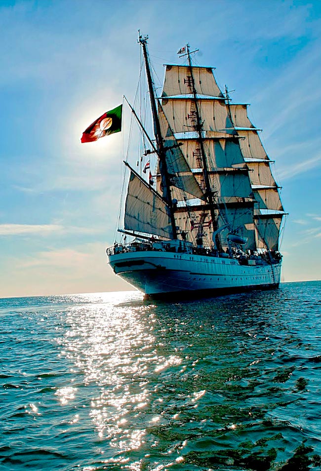 Conheça a fascinante história do Navio Escola Sagres, uma verdadeira joia dos mares! Descubra a origem deste imponente veleiro de três mastros.
