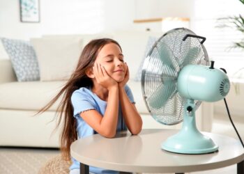Descubra como escolher a melhor ventoinha para enfrentar o calor com tranquilidade. Garanta um ambiente fresco e confortável em casa.