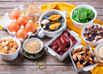 Conheça 28 alimentos ricos em ferro que deve consumir, promovendo os devidos cuidados com a sua alimentação e melhorando o seu bem-estar.