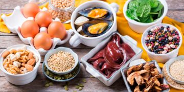 Conheça 28 alimentos ricos em ferro que deve consumir, promovendo os devidos cuidados com a sua alimentação e melhorando o seu bem-estar.