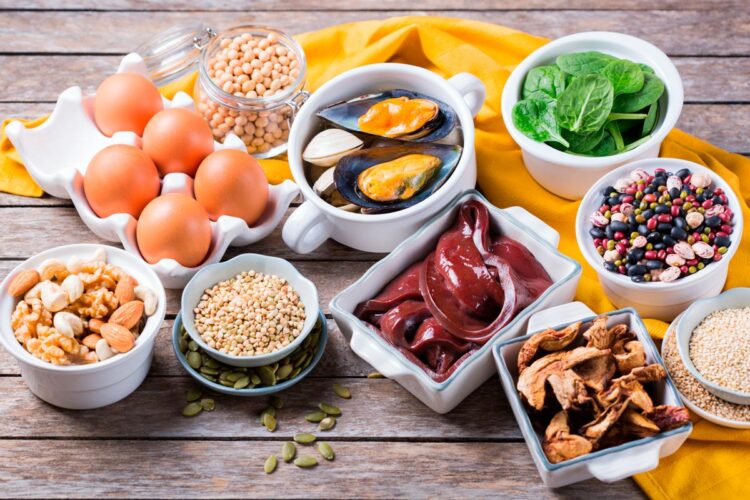 Conheça 28 alimentos ricos em ferro que deve consumir, promovendo os devidos cuidados com a sua alimentação e melhorando o seu bem-estar.