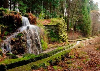 Se adora fazer caminhadas em cenários deslumbrantes, poderá viver uma aventura inesquecível no trilho da Levada da Víbora!