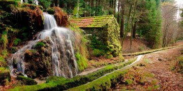 Se adora fazer caminhadas em cenários deslumbrantes, poderá viver uma aventura inesquecível no trilho da Levada da Víbora!