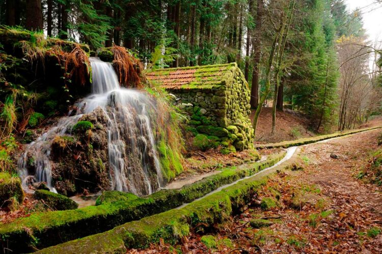 Trilho da Levada da Víbora: pelos moinhos de D. Dinis no Norte de Portugal Se adora fazer caminhadas em cenários deslumbrantes, poderá viver uma aventura inesquecível no trilho da Levada da Víbora!