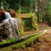 Se adora fazer caminhadas em cenários deslumbrantes, poderá viver uma aventura inesquecível no trilho da Levada da Víbora!