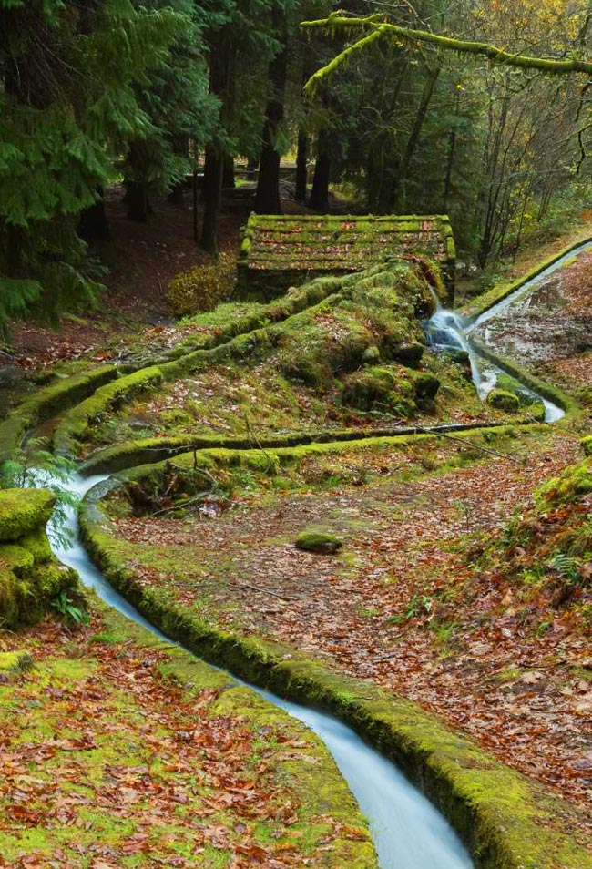 Trilho da Levada da Víbora: pelos moinhos de D. Dinis no Norte de Portugal Se adora fazer caminhadas em cenários deslumbrantes, poderá viver uma aventura inesquecível no trilho da Levada da Víbora!