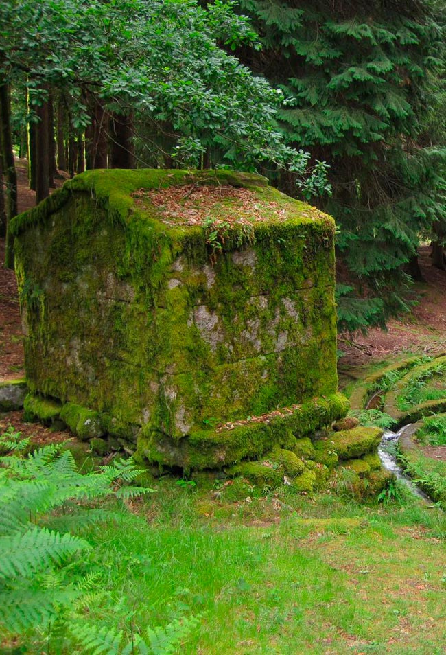 Trilho da Levada da Víbora: pelos moinhos de D. Dinis no Norte de Portugal Se adora fazer caminhadas em cenários deslumbrantes, poderá viver uma aventura inesquecível no trilho da Levada da Víbora!