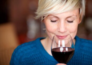 São mesmo muitas e boas razões para podermos ignorar! Saiba tudo o que necessita sobre o vinho tinto.