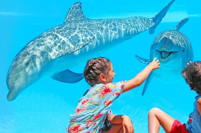 5 dos melhores parques aquáticos do Algarve Diversão aquática garantida. Opções inesquecíveis e quase obrigatórias!