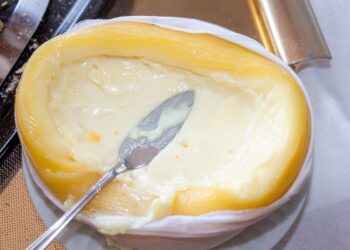 Aprenda técnicas de preservação muito eficazes que permitem conservar queijo em perfeitas condições por mais tempo.