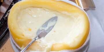 Aprenda técnicas de preservação muito eficazes que permitem conservar queijo em perfeitas condições por mais tempo.
