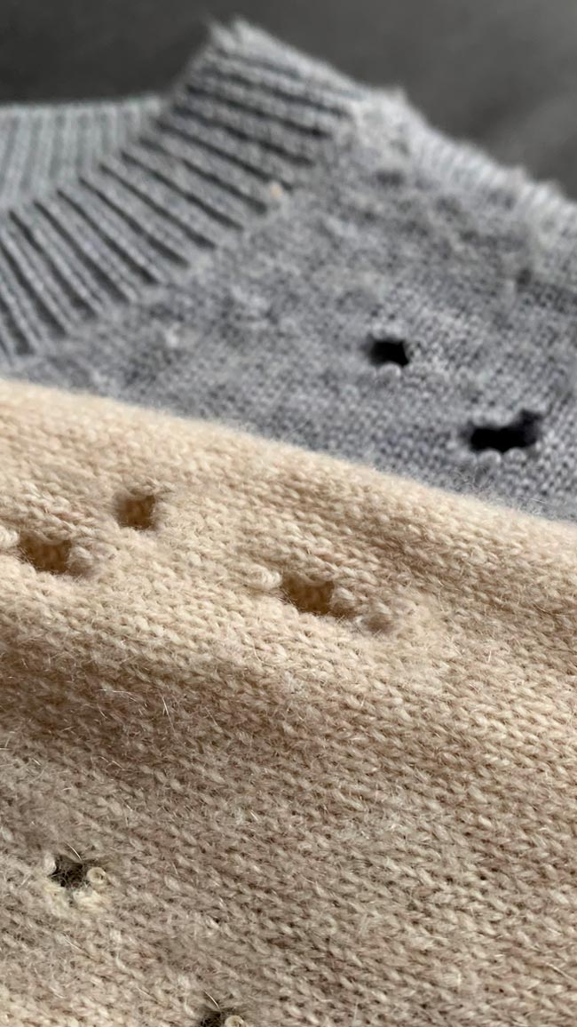 Livre-se das pragas! Diga adeus às traças de uma vez por todas Saiba como fazer desaparecer as traças dos armários da roupa e da cozinha!