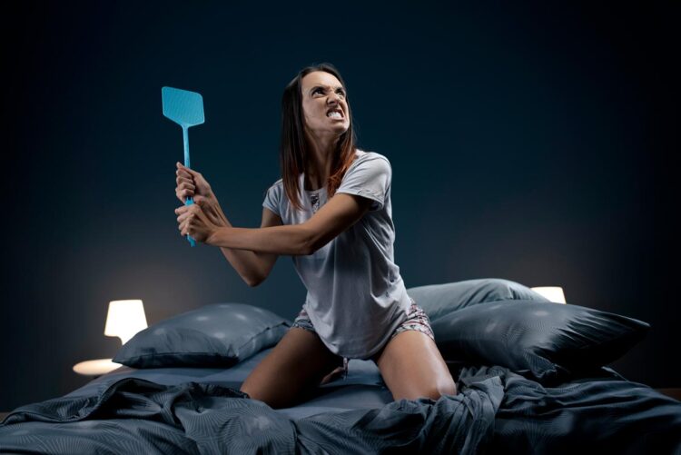 Receitas fáceis e eficazes para expulsar esses intrusos!