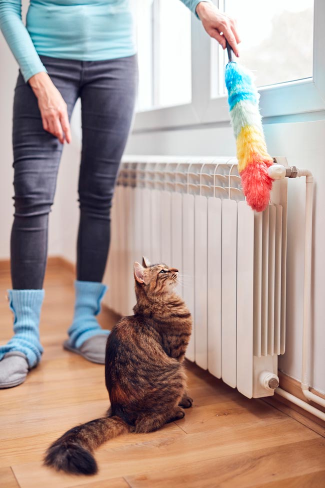 Métodos eficazes para limpar o pó da casa Dicas práticas para limpar o pó, deixando a sua casa livre de alergénios e a brilhar!