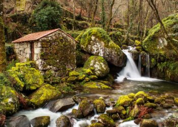 O Rio Bestança é um dos rios mais limpos e preservados da Europa