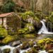O Rio Bestança é um dos rios mais limpos e preservados da Europa