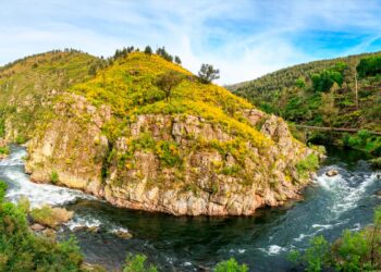 Descubra o Rio Paiva e viva uma experiência única na natureza.