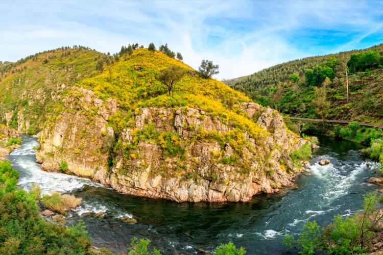 Descubra o Rio Paiva e viva uma experiência única na natureza.