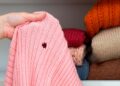 Como acabar com as traças em casa: 5 truques eficazes para proteger a roupa