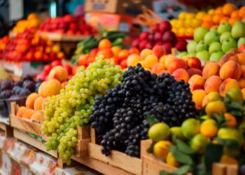 Mantenha a sua frescura e as suas qualidades por muitos mais dias!
