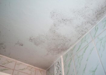 Mantenha uma casa limpa e segura para todos! Aprenda a limpar a humidade do teto com eficácia