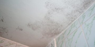 Mantenha uma casa limpa e segura para todos! Aprenda a limpar a humidade do teto com eficácia