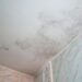 Mantenha uma casa limpa e segura para todos! Aprenda a limpar a humidade do teto com eficácia