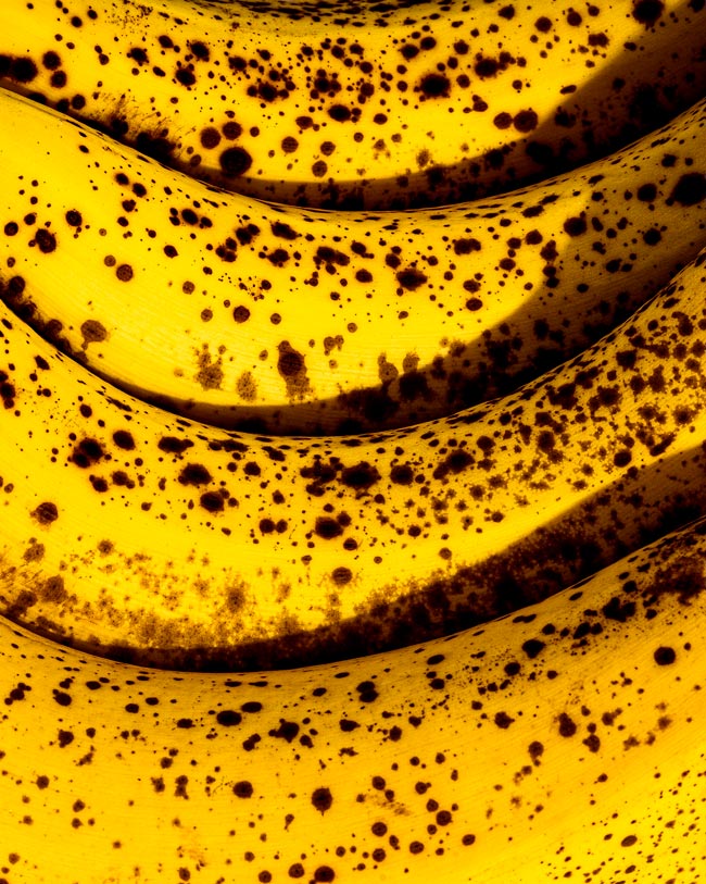 Como conservar bananas por mais tempo Mantenha as suas bananas frescas e prontas a serem consumidas por muito mais tempo.