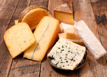 Métodos essenciais e eficazes para conservar queijo garantindo a sua excelência.